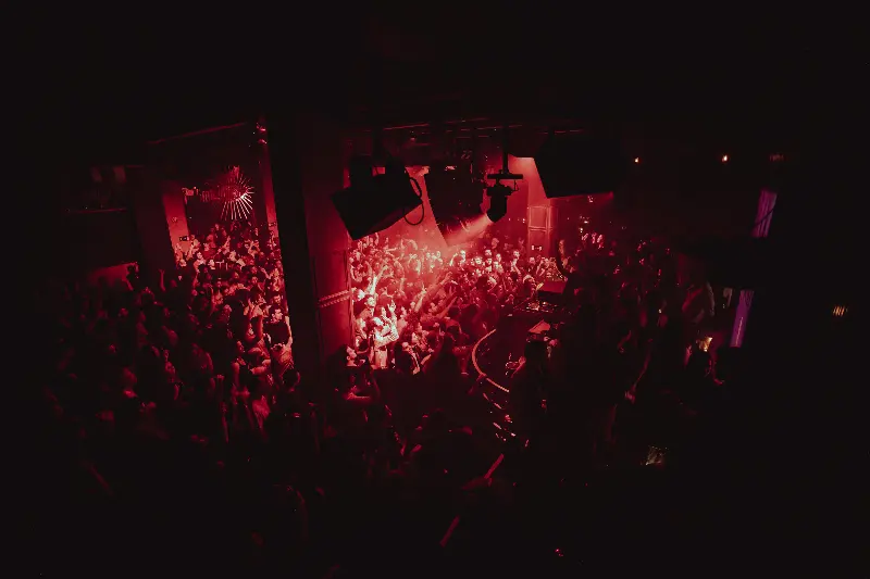Lula Club atmosphere 5
